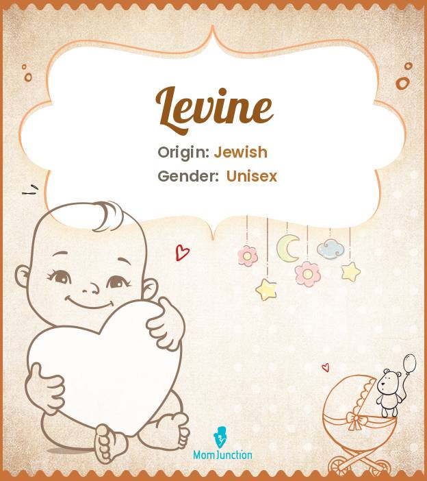 Levine Name Meaning, Origin, History, And Popularity