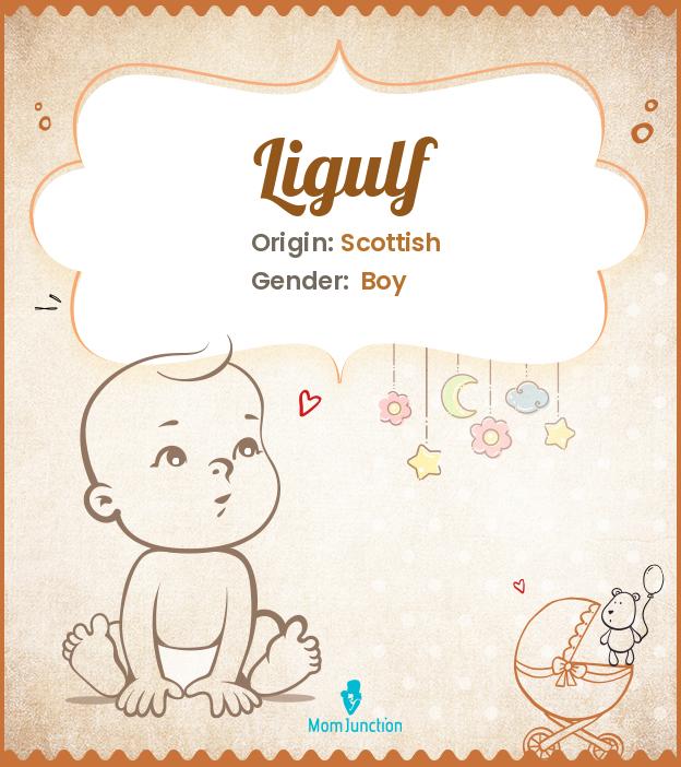ligulf ligulf