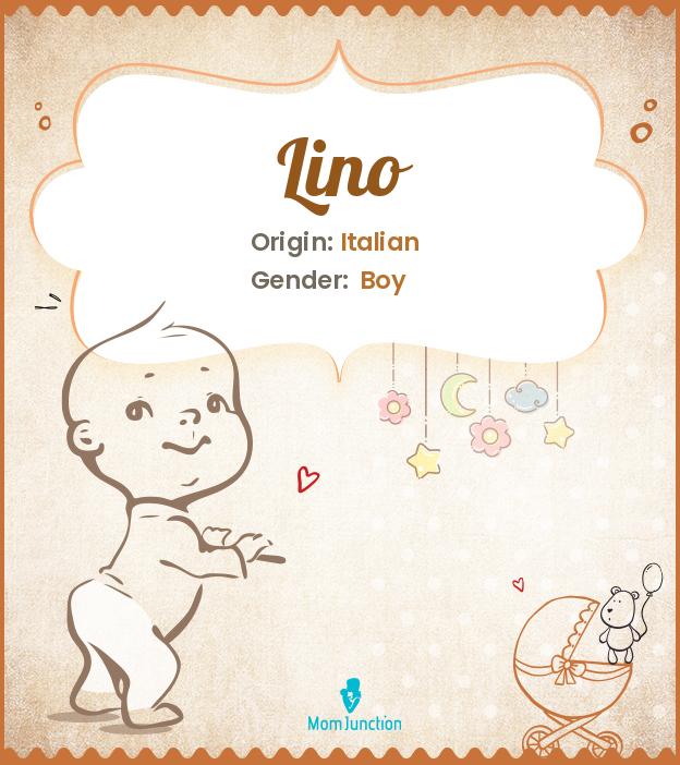Explore Lino Meaning, Origin & Popularity