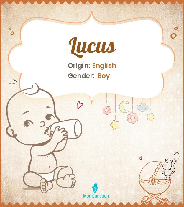Explore Lucus Meaning, Origin & Popularity
