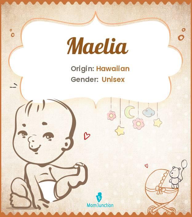 Maelia