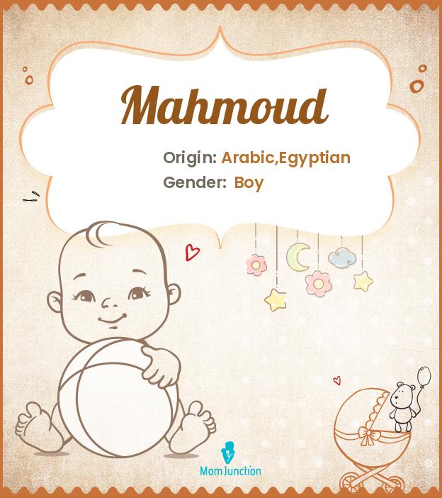 Explore Mahmoud Meaning, Origin & Popularity