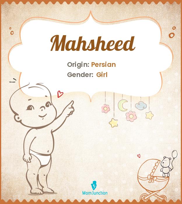 mahsheed mahsheed