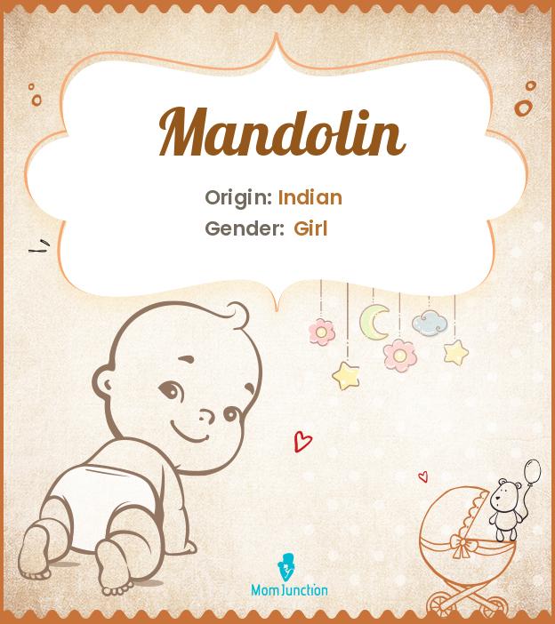 Mandolin Mandolin
