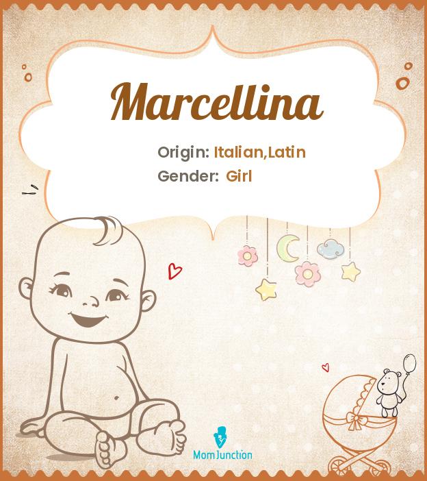 marcellina marcellina