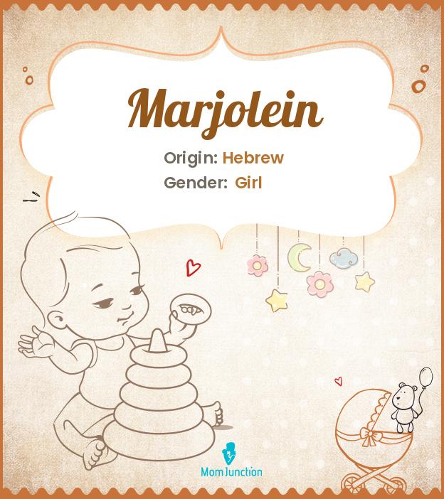 Marjolein Marjolein