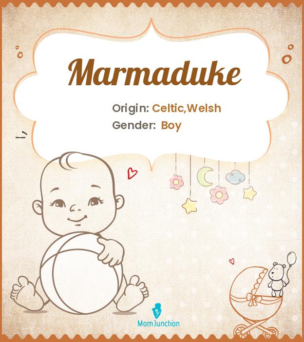 Explore Marmaduke Meaning, Origin & Popularity MomJunction
