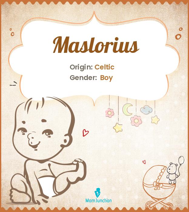 maslorius maslorius