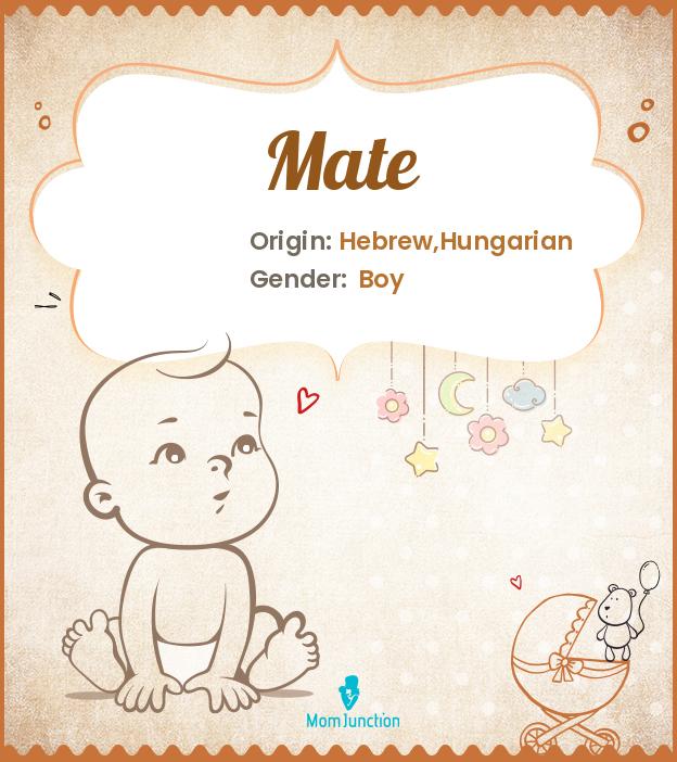 Explore Mate Meaning, Origin & Popularity MomJunction