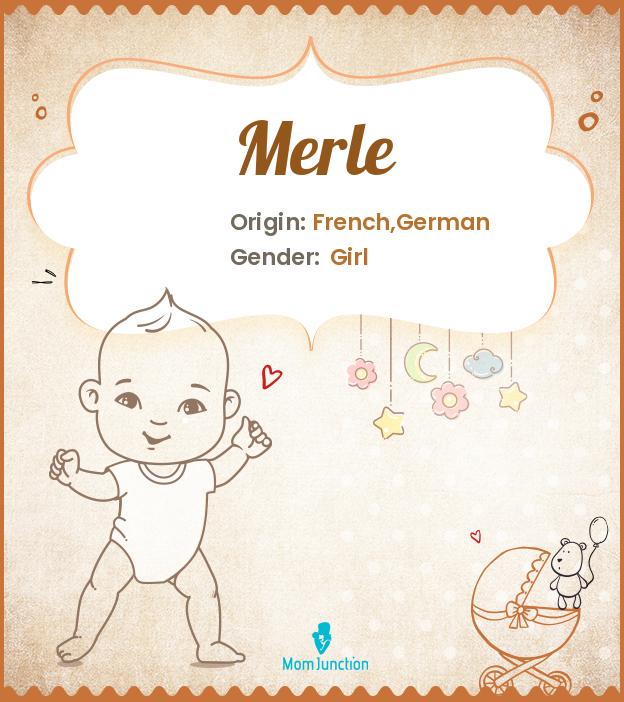 Explore Merle Meaning, Origin & Popularity MomJunction
