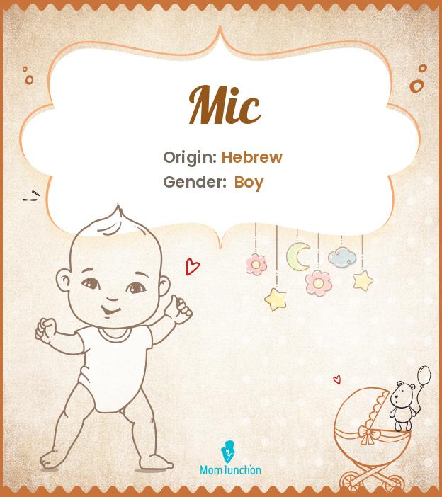mic mic
