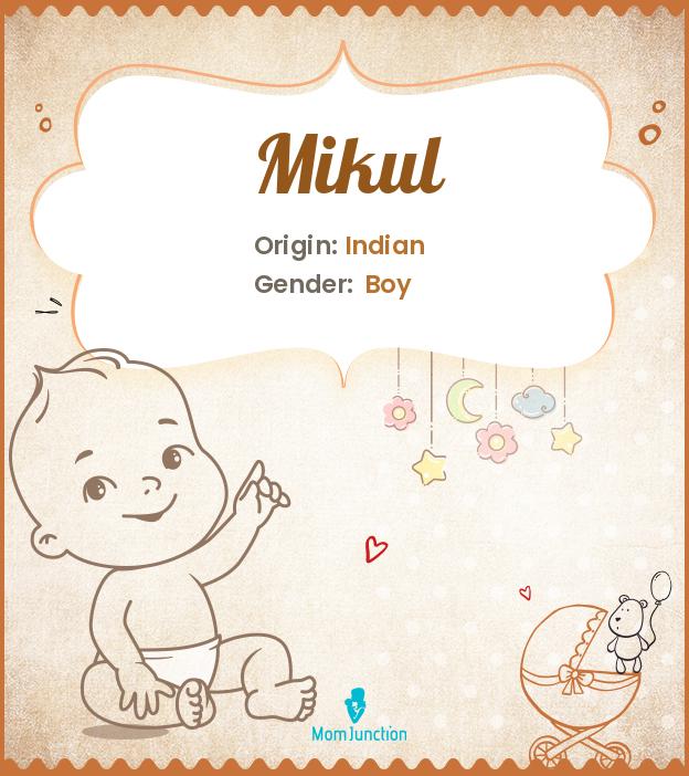 Mikul Mikul