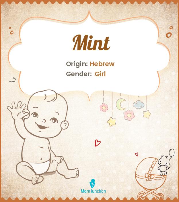 Explore Mint Meaning, Origin & Popularity MomJunction