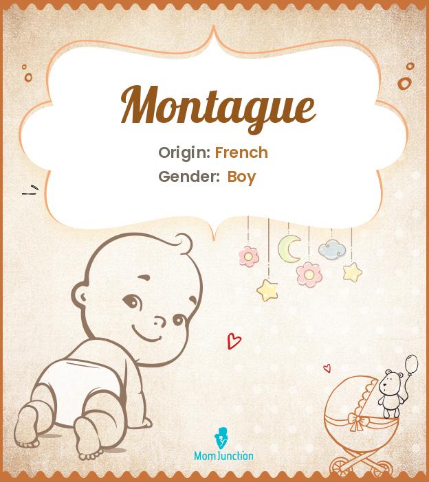 Montague Name Meaning, Origin, History, And Popularity