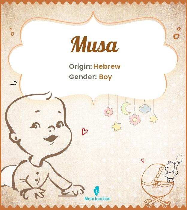 Musa Name Meaning, Origin, History, And Popularity