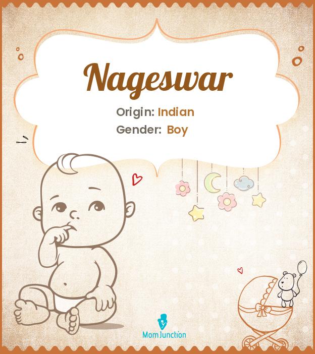 nageswar nageswar