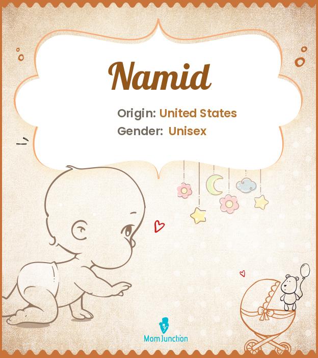 Explore Namid: Meaning, Origin & Popularity