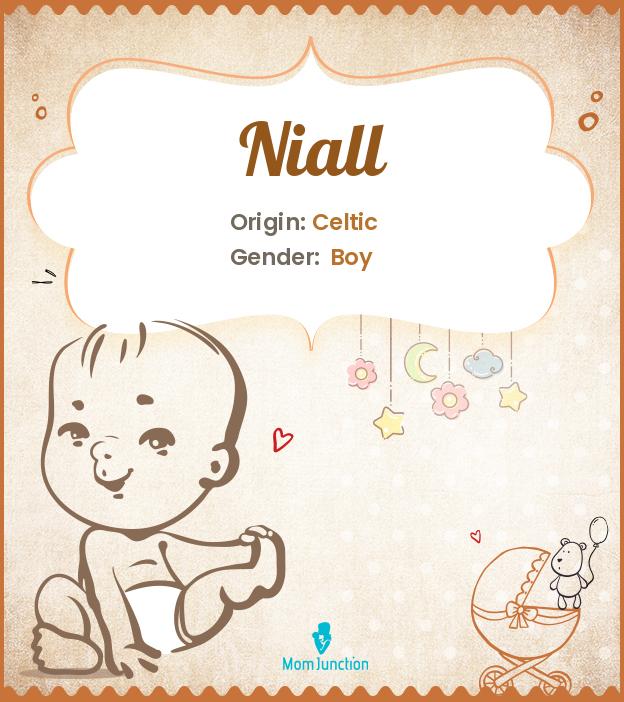niall niall