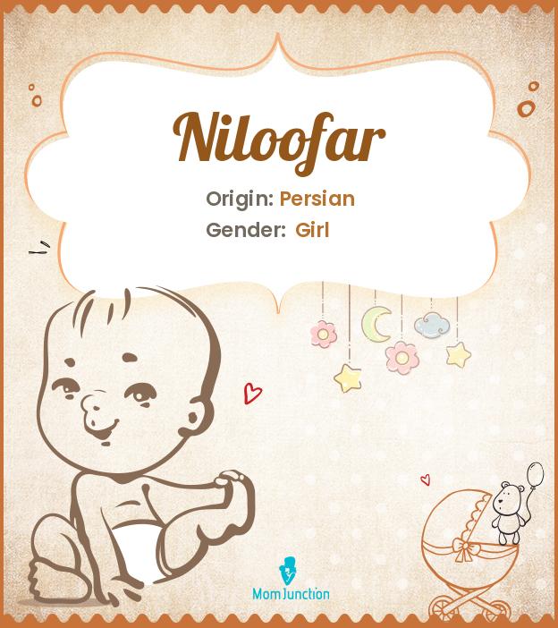 niloofar