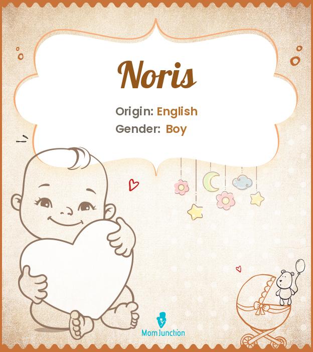 Explore Noris Meaning, Origin & Popularity