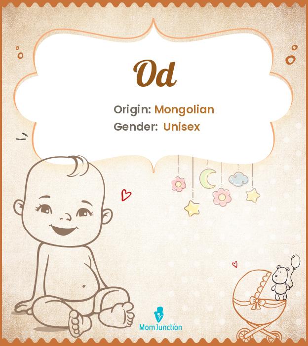 Explore Od: Meaning, Origin & Popularity
