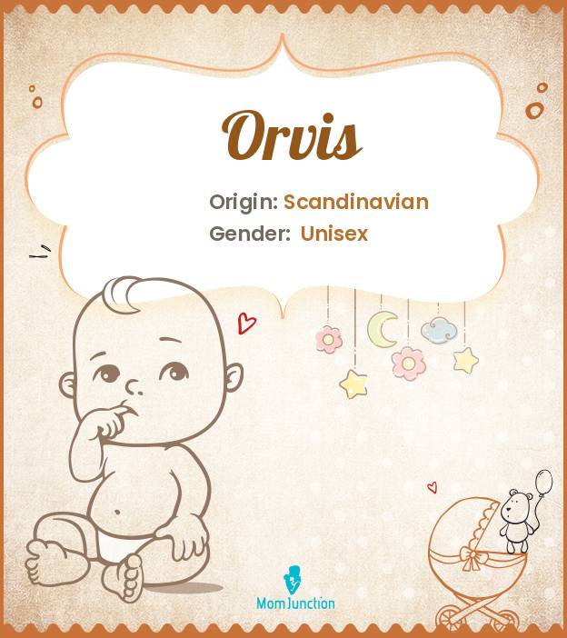 orvis