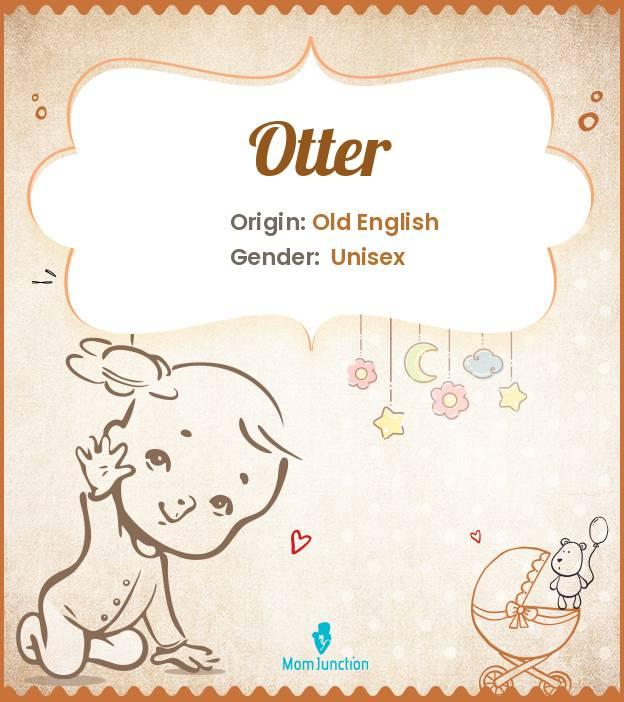 Explore Otter: Meaning, Origin & Popularity