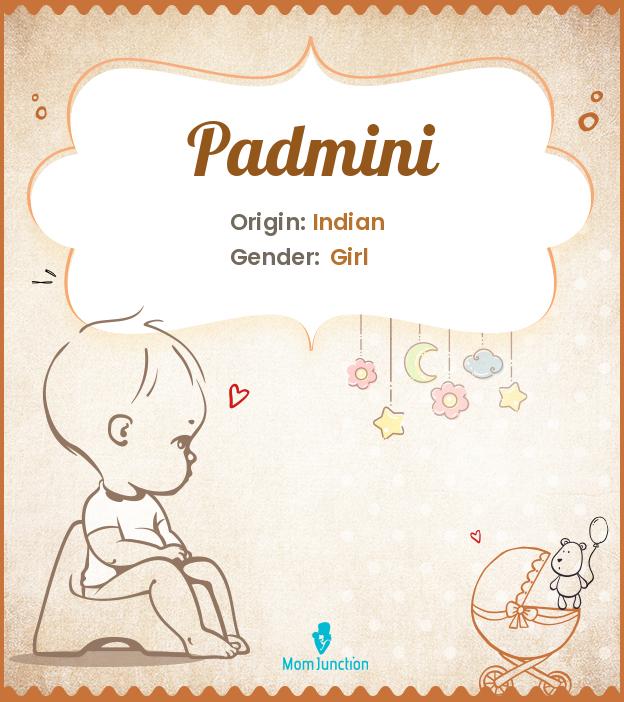 Padmini Padmini