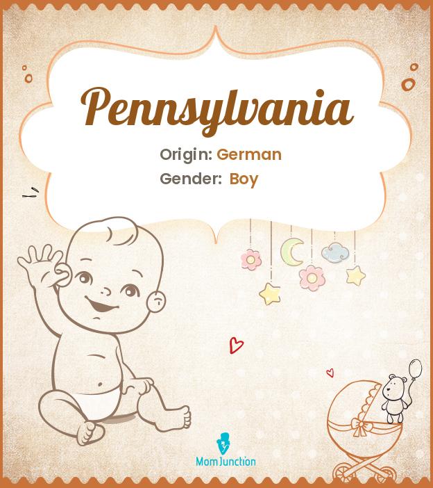 Explore Pennsylvania Meaning, Origin & Popularity
