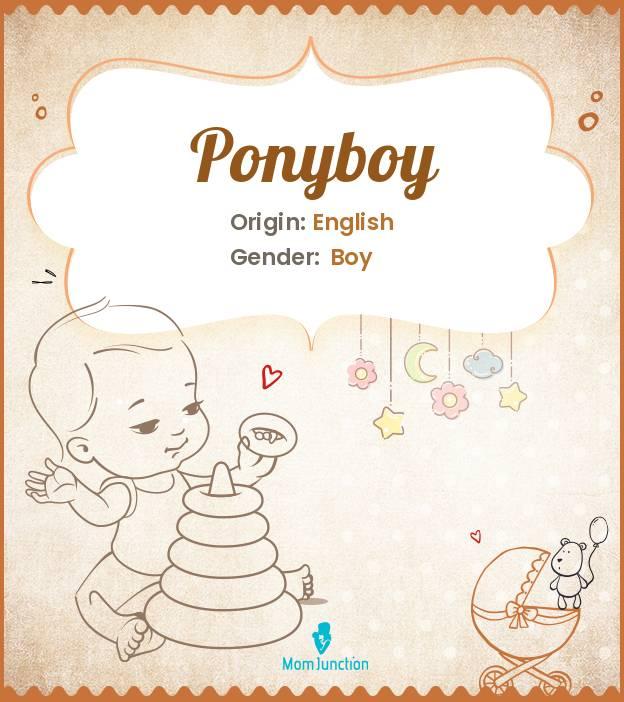 Explore Ponyboy Meaning, Origin & Popularity