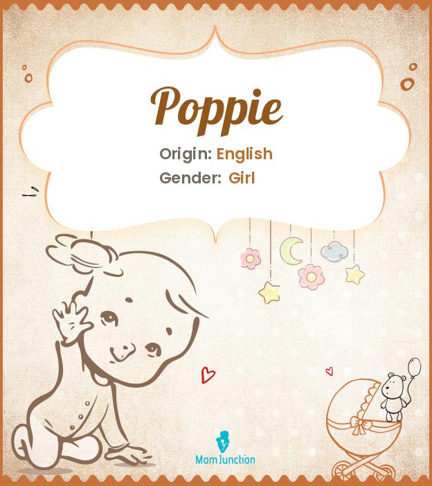 Explore Poppie Meaning, Origin & Popularity