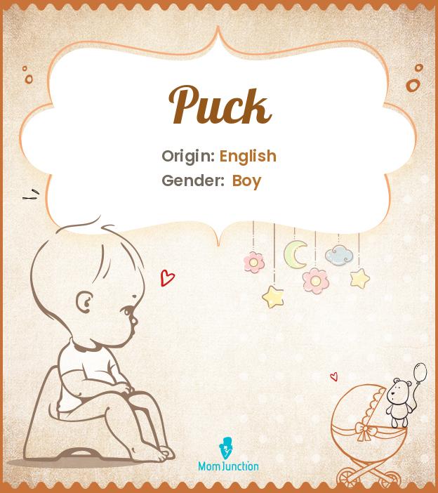 Puck Puck