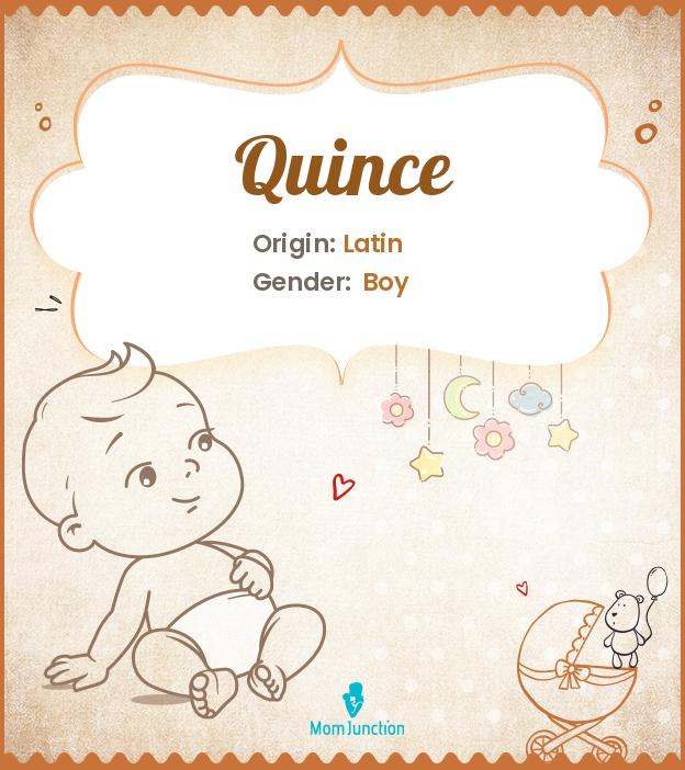 Quince Name Meaning, Origin, History, And Popularity
