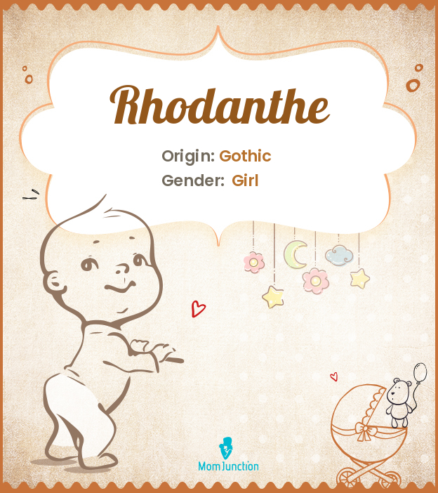Rhodanthe