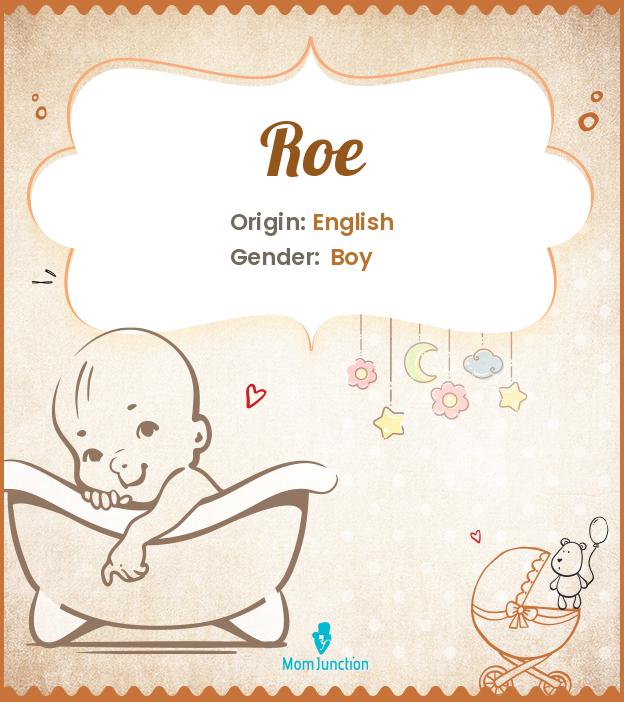 Explore Roe: Meaning, Origin & Popularity