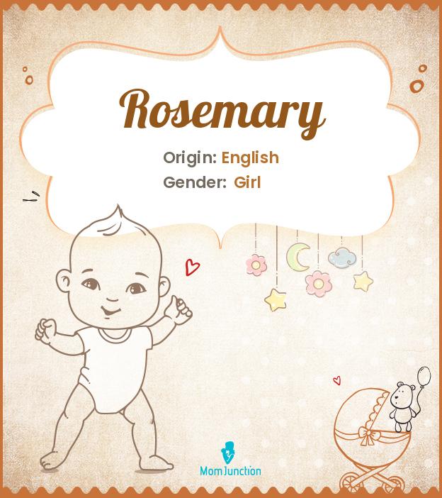 Rosemary Name Meaning, Origin, History, And Popularity