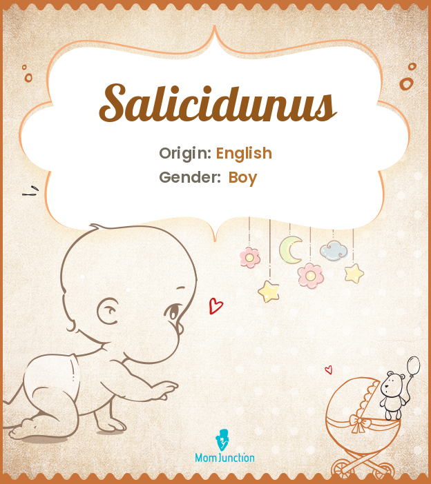 salicidunus