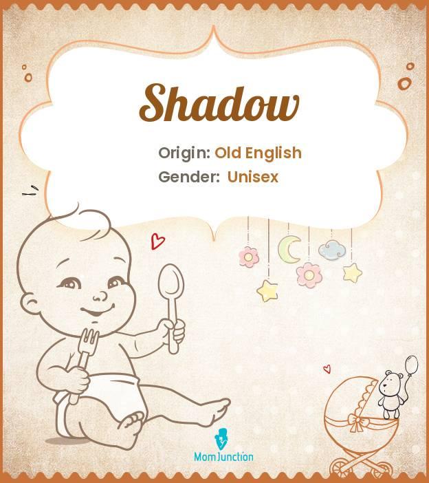 Explore Shadow Meaning, Origin & Popularity MomJunction