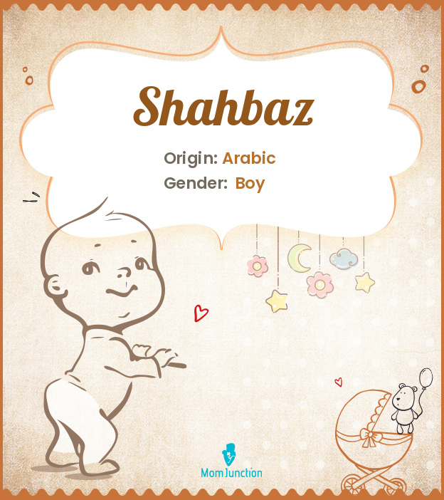 shahbaz