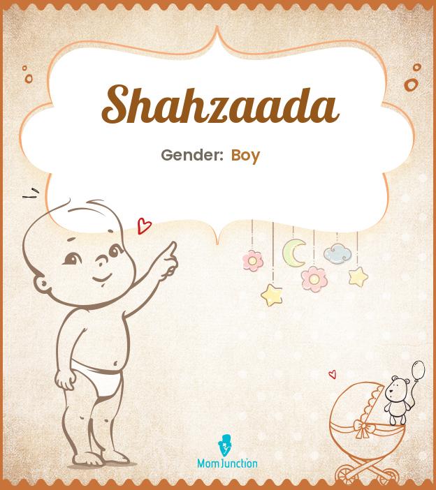 shahzaada shahzaada