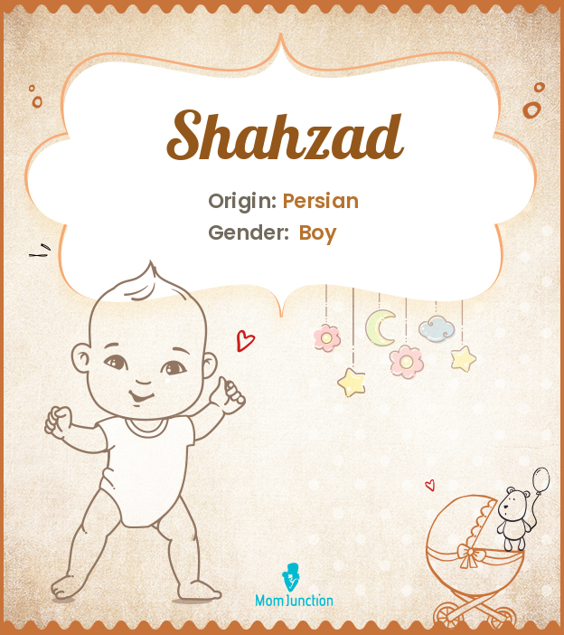 shahzad