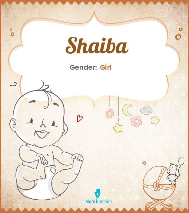shaiba shaiba