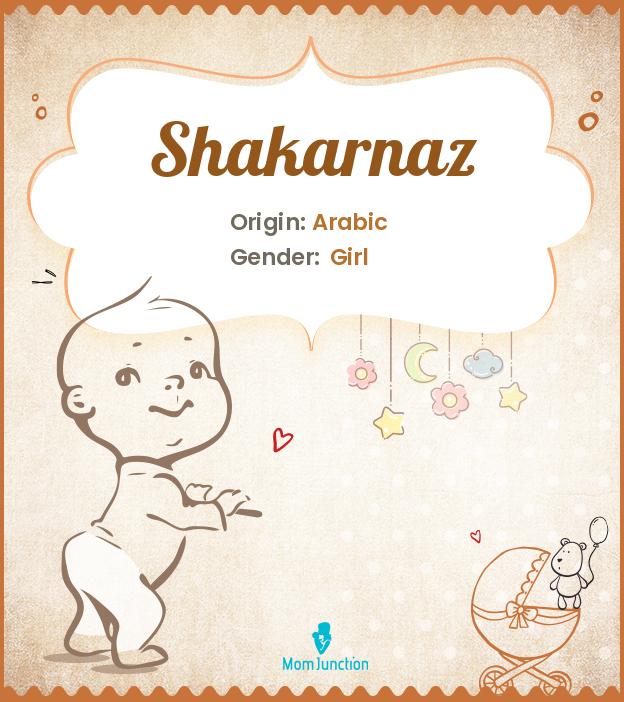 shakarnaz shakarnaz