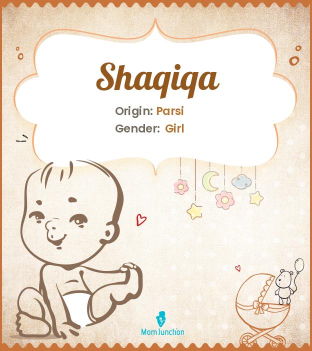 shaqiqa shaqiqa