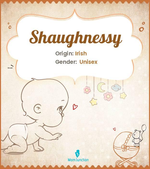 Explore Shaughnessy Meaning, Origin & Popularity