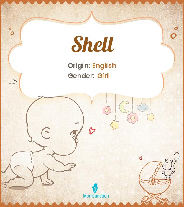 shell