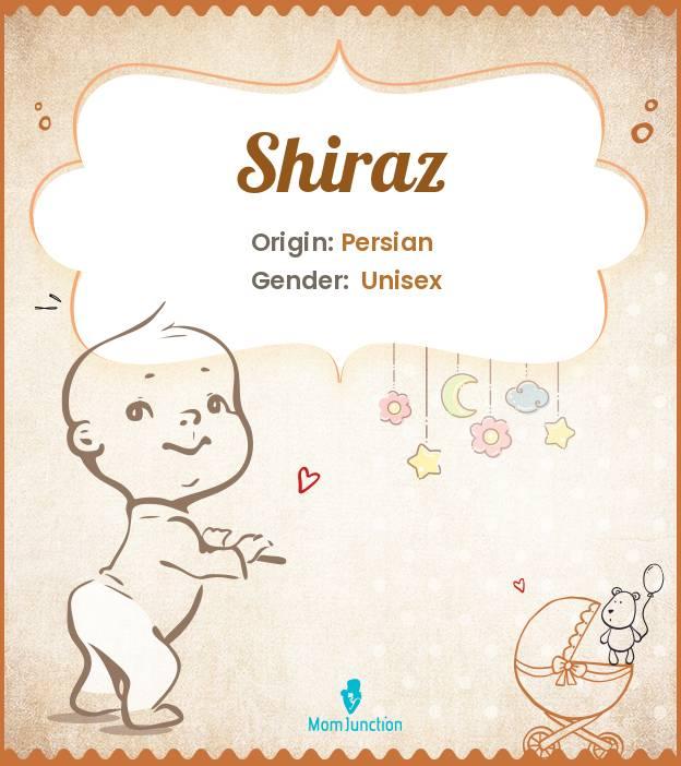 Explore Shiraz Meaning, Origin & Popularity