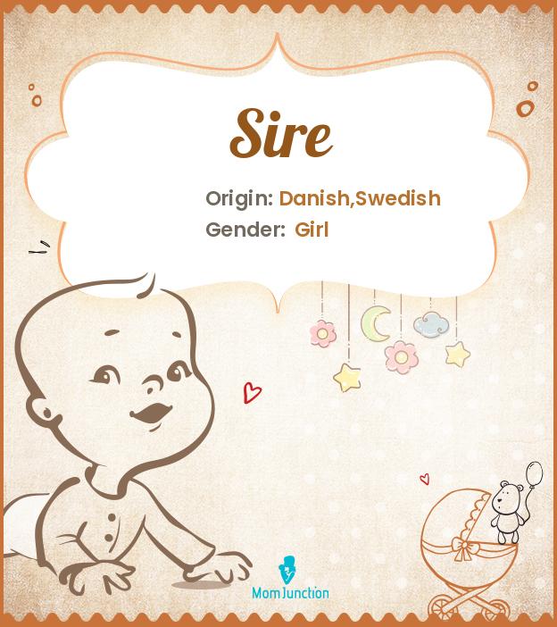 Explore Sire Meaning, Origin & Popularity