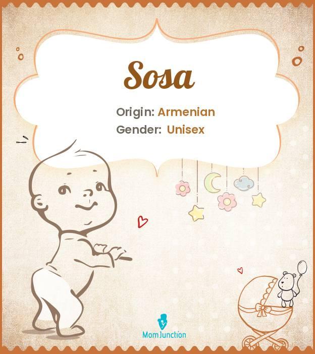 Explore Sosa Meaning, Origin & Popularity