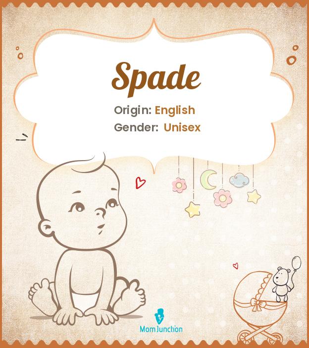 Spade Name, Meaning, Origin, History, And Popularity
